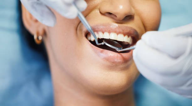 Best Emergency Pediatric Dental Care in Minot Af, ND